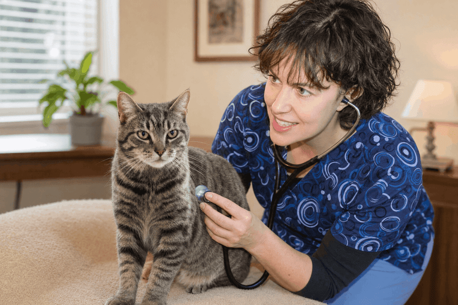 clinic low stress karen cat