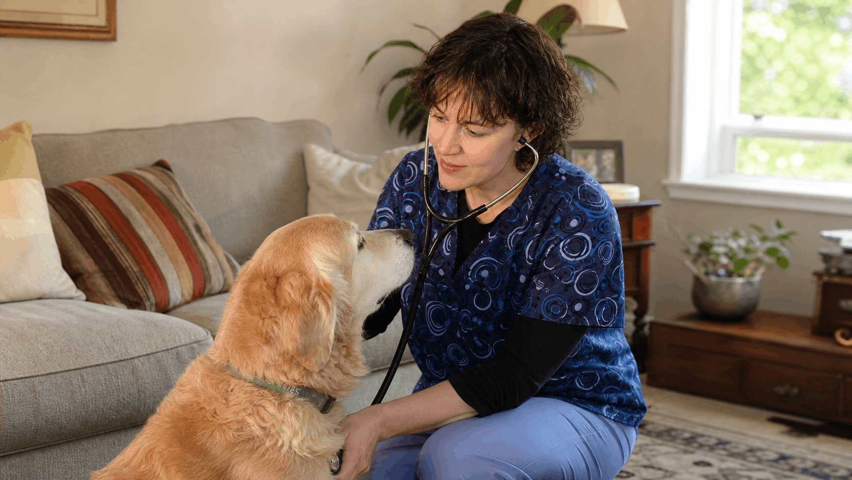 hero karen home visit